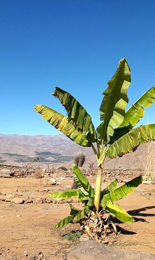Campo De Cielo Mamalluca Valle De Elqui Vicuña Exteriör bild