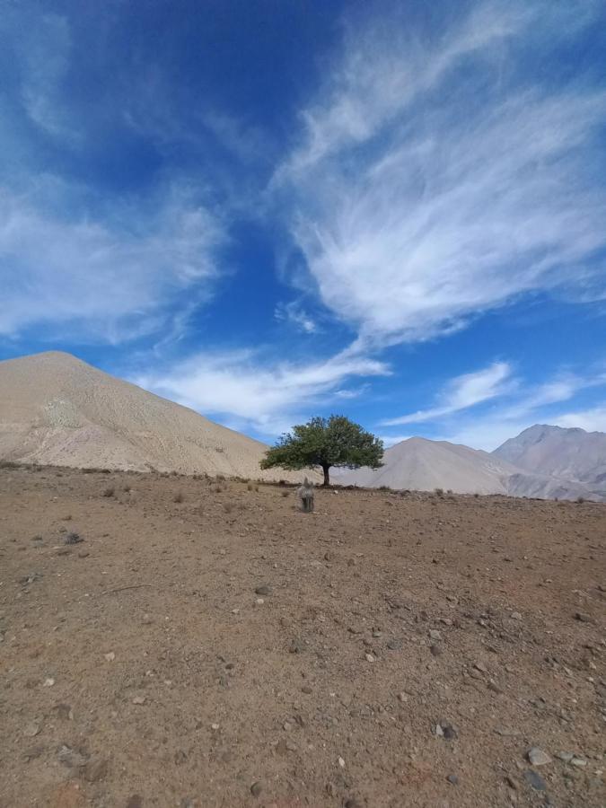Campo De Cielo Mamalluca Valle De Elqui Vicuña Exteriör bild